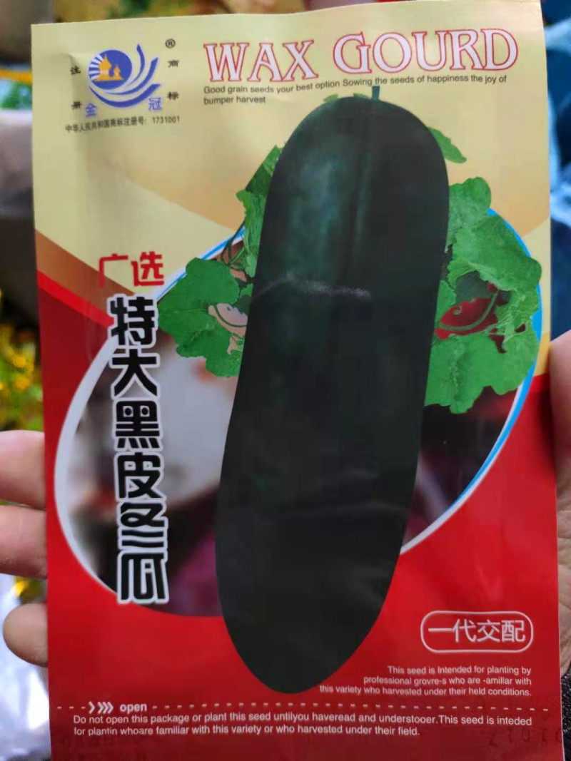冬瓜种子特大黑皮冬瓜高产抗病肉质厚嫩致密腔小微甜优质冬瓜