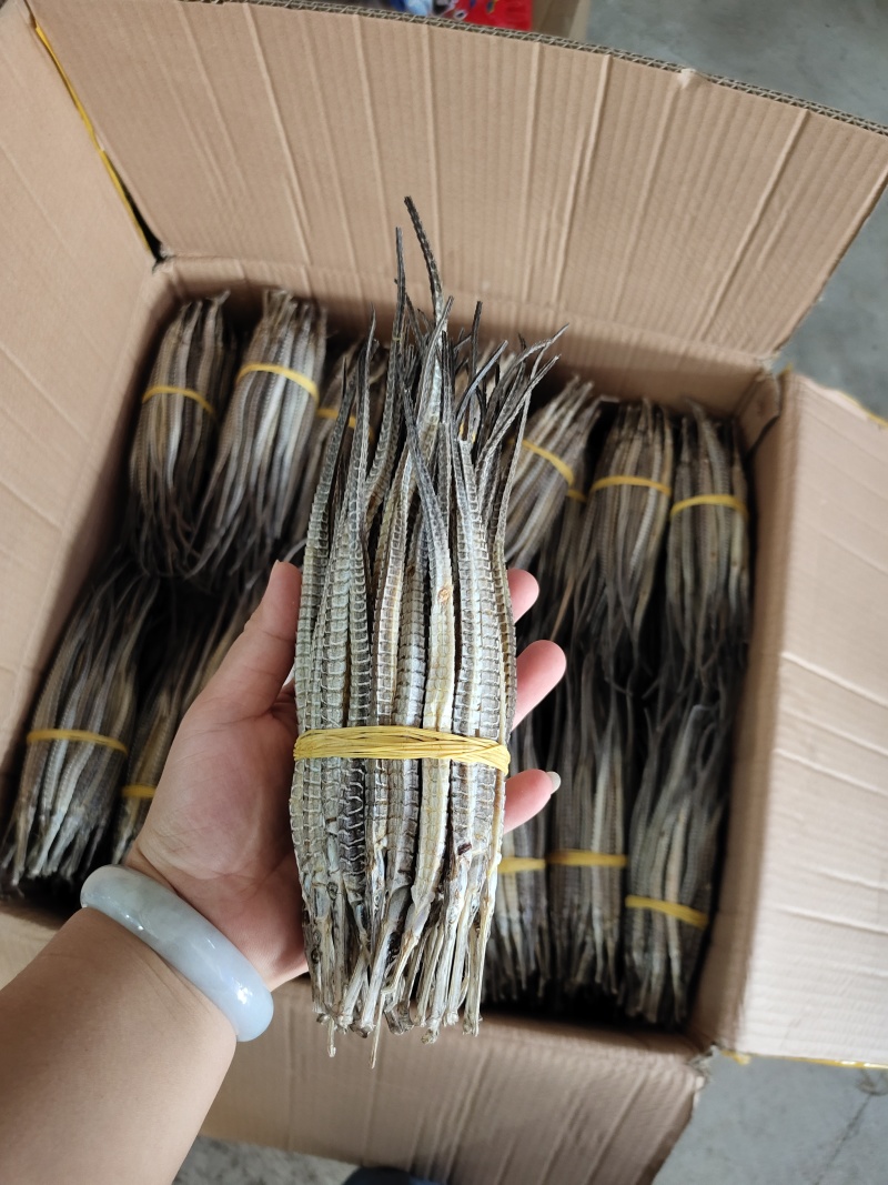 批发干海龙泡酒中药材大号海龙六角龙淡干200条左右/斤