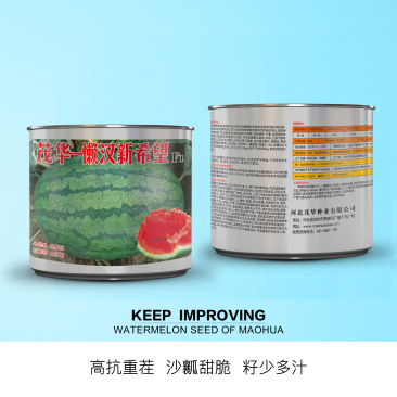 中科茂华瓜果蔬菜水果种子懒汉新希望西瓜种子大红瓤抗重茬