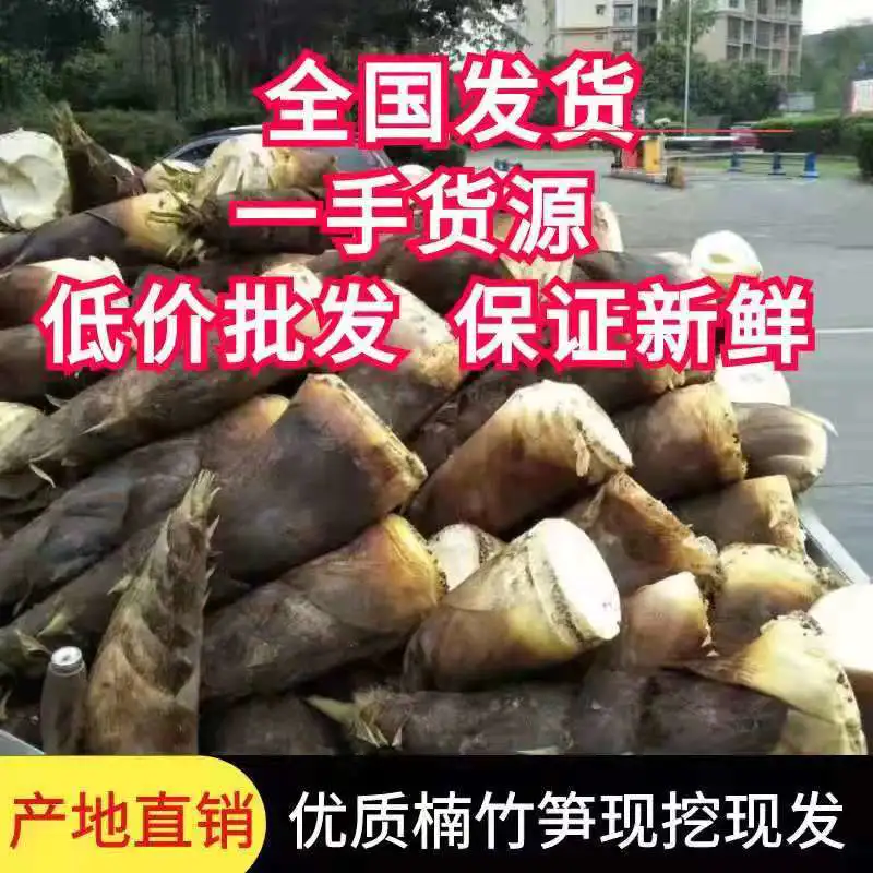 高山楠笋，大量上市价格便宜，欢迎各位老板下单，预订从速。