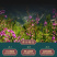 春中宝野山百花蜜蜂蜜瓶装280g
