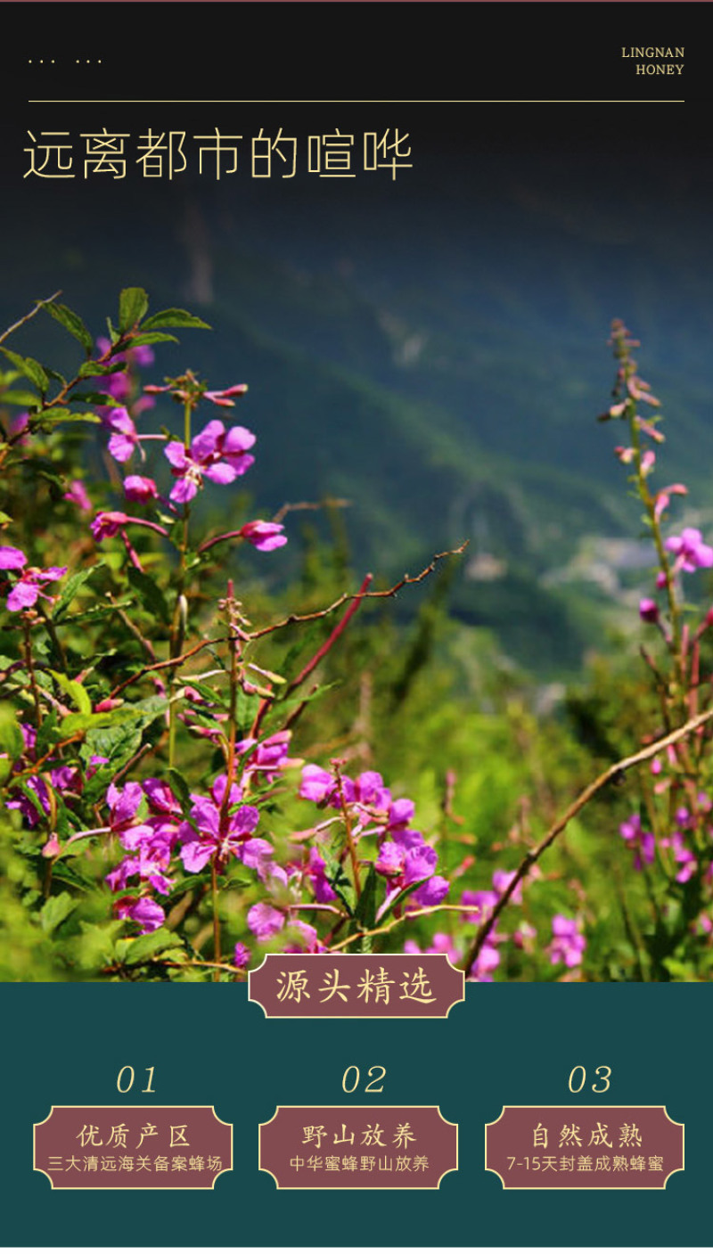 春中宝野山百花蜜蜂蜜瓶装280g