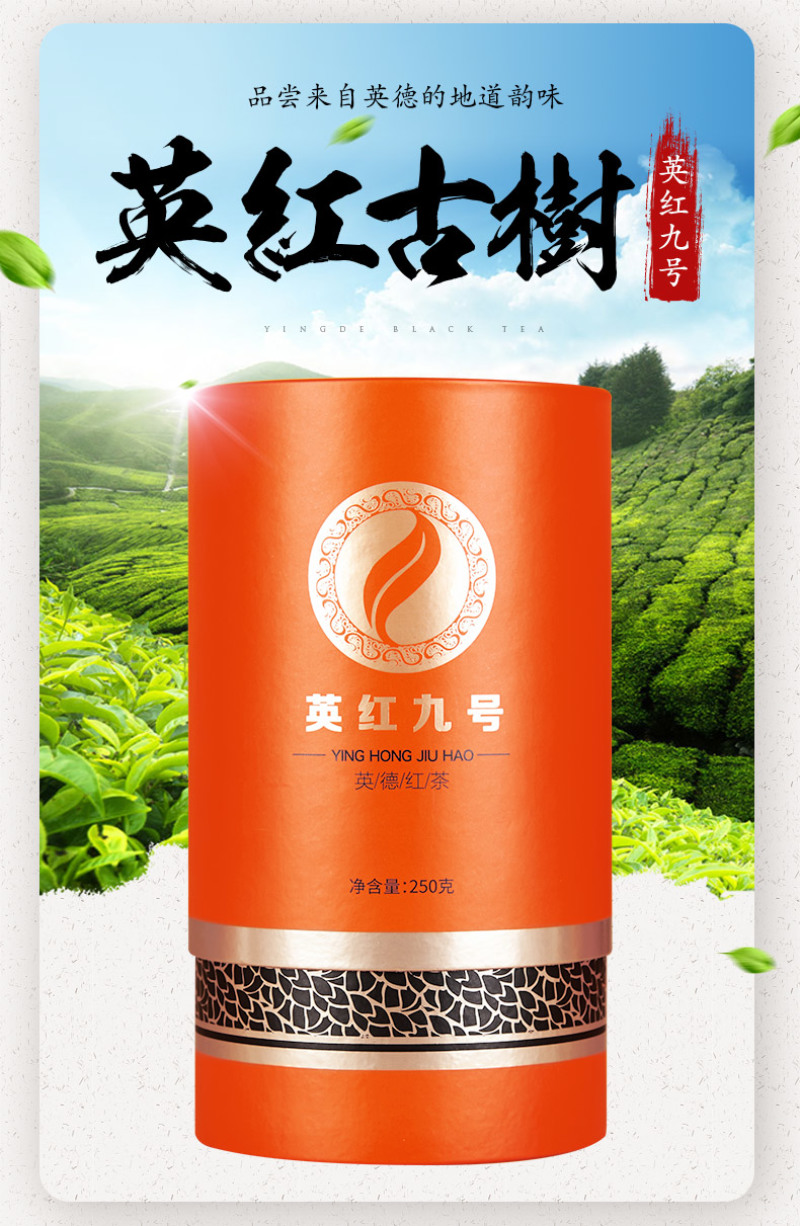 正宗英红九号红茶250g礼盒装英德特产精品红茶