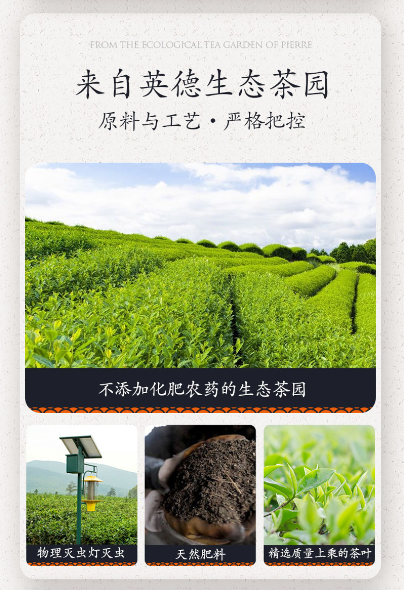 正宗英红九号红茶250g礼盒装英德特产精品红茶