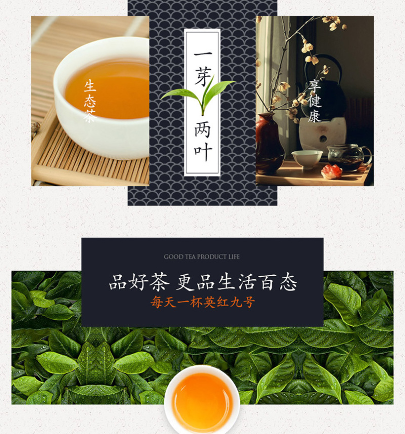 正宗英红九号红茶250g礼盒装英德特产精品红茶