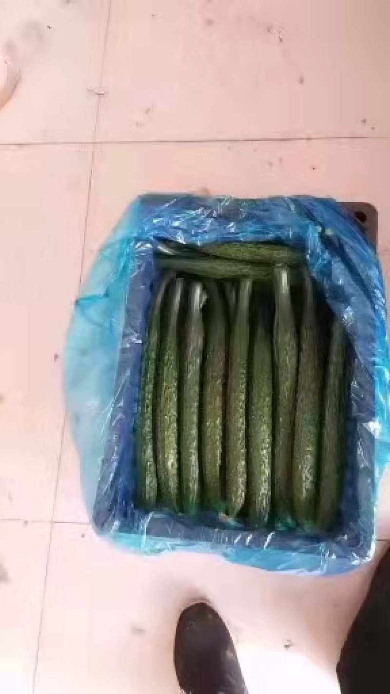 黄瓜精品密刺黄瓜万亩基地直销品质保障量大从优诚信经营