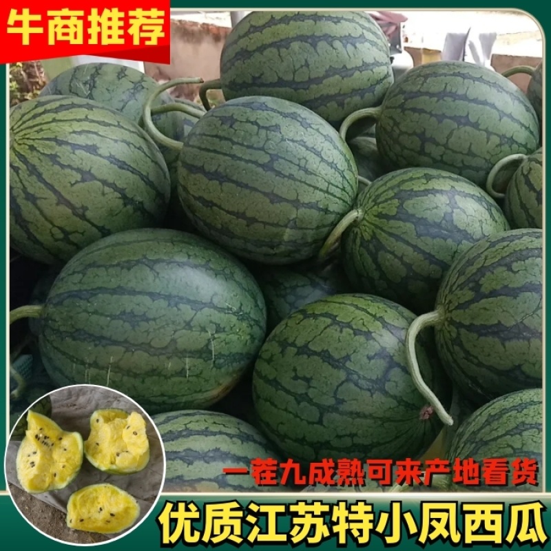 特小凤西瓜，西瓜，江苏特小凤西瓜，特小凤大量批发品质保障