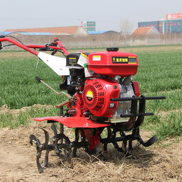 两驱微耕机手扶式小型旋耕机除草犁地机田园管理中耕机