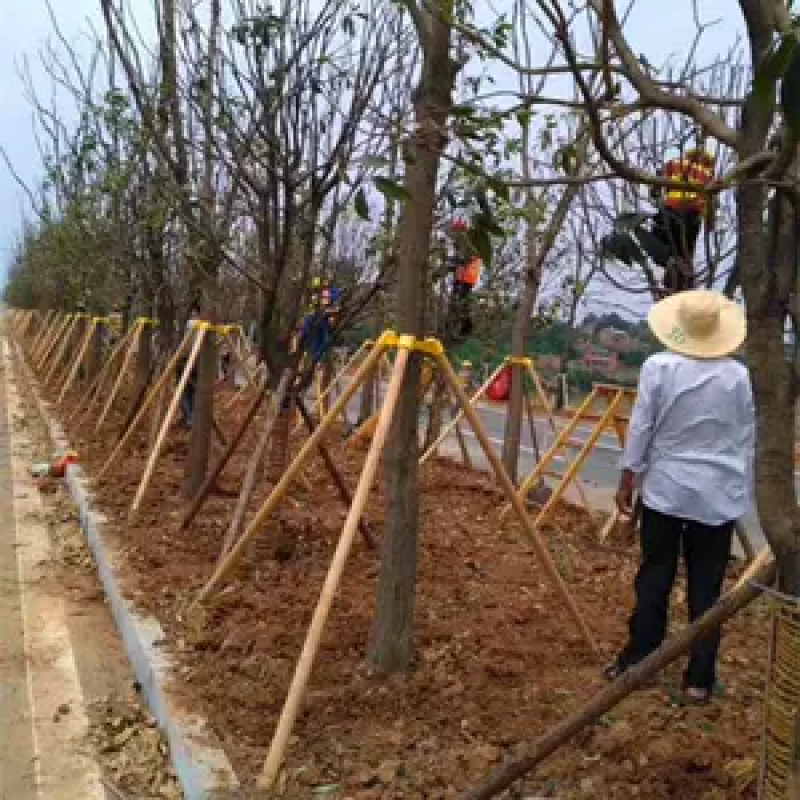 绿化树支撑杆，厂家直销，质量保障，直供全国各地各大绿化工