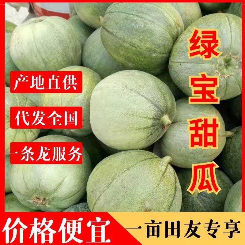 山东精品甜宝甜瓜现有货源，供应量大，价格便宜质量好