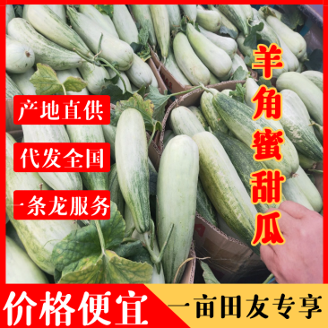 精品羊角蜜甜瓜上市，个头均匀颜色好，口感甜，产地一手货源