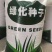 紫穗槐生长迅速，边坡及绿化工程大量种植，种子一件代发