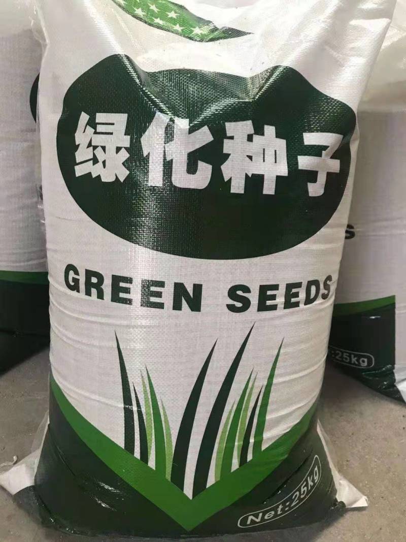 紫穗槐生长迅速，边坡及绿化工程大量种植，种子一件代发