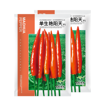 中科茂华蔬菜种子单生艳阳天朝天椒种子超辣指天椒干鲜两用