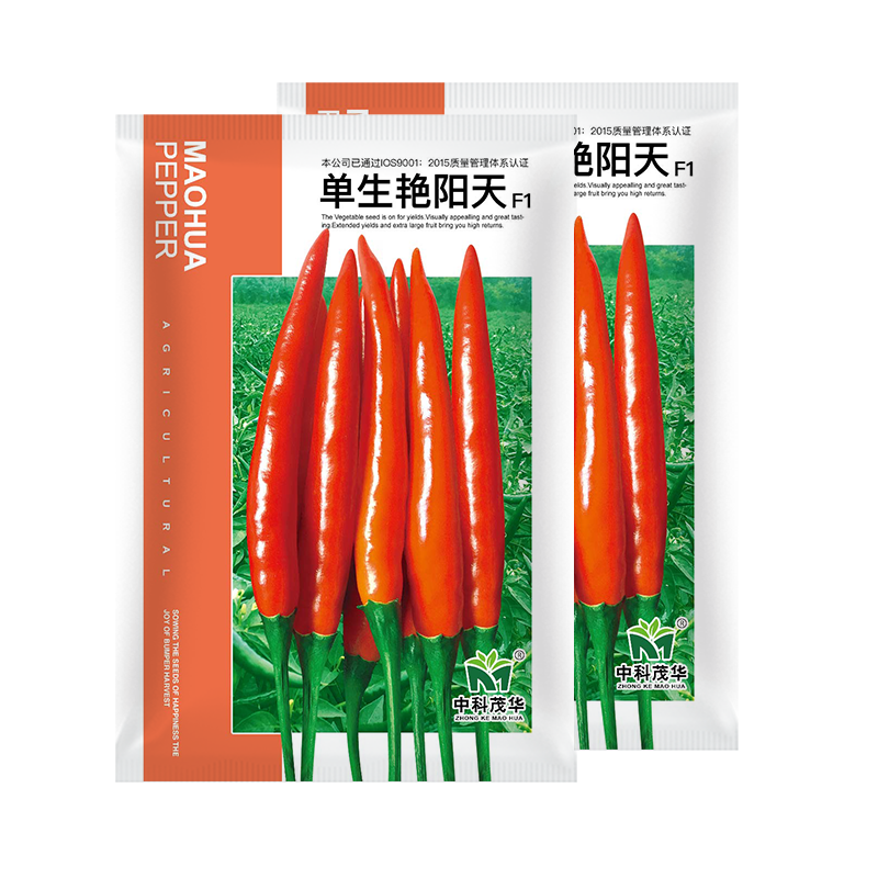 中科茂华蔬菜种子单生艳阳天朝天椒种子超辣指天椒干鲜两用