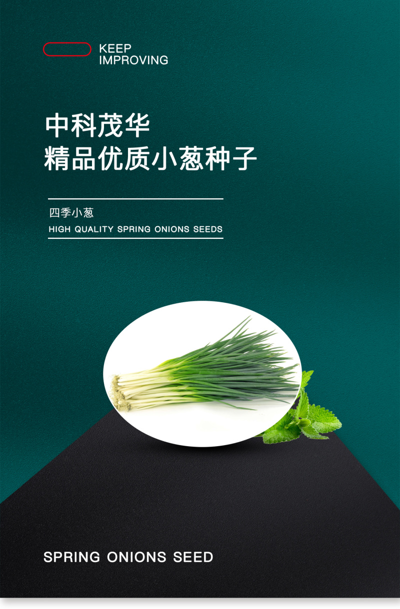 中科茂华蔬菜种子四季小葱种子易种植耐寒叶色浓绿盆栽种植
