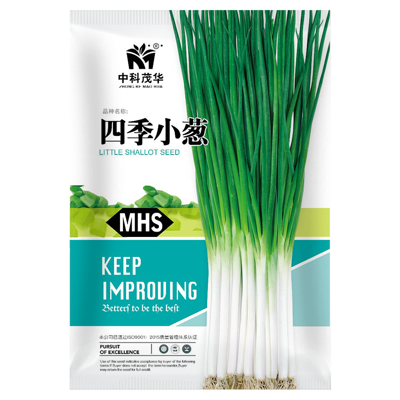 中科茂华蔬菜种子四季小葱种子易种植耐寒叶色浓绿盆栽种植