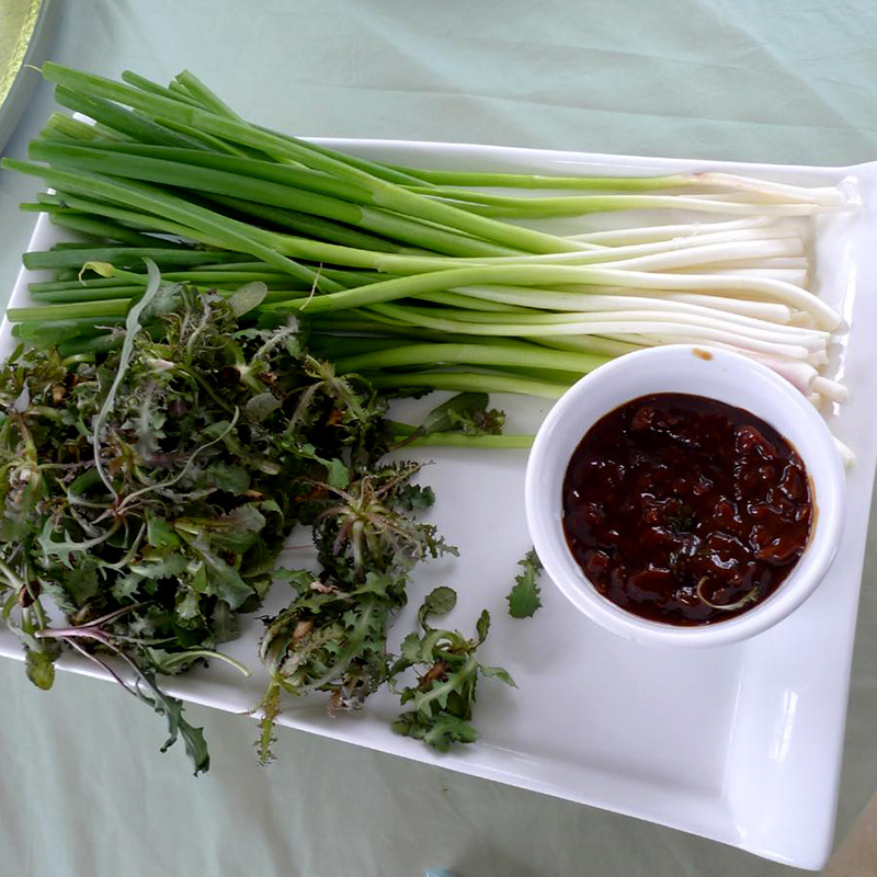 中科茂华蔬菜种子四季小葱种子易种植耐寒叶色浓绿盆栽种植