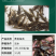 黄骨鱼苗6-7公分优质现货高质量低价格