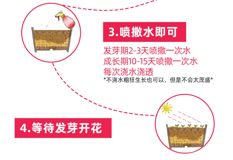 波斯菊花种子格桑花种籽子七彩四季开花易活花籽庭院野花组合