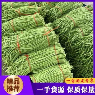 【诚信商家】长豆角青条豆角大量上市货源充足价格便宜