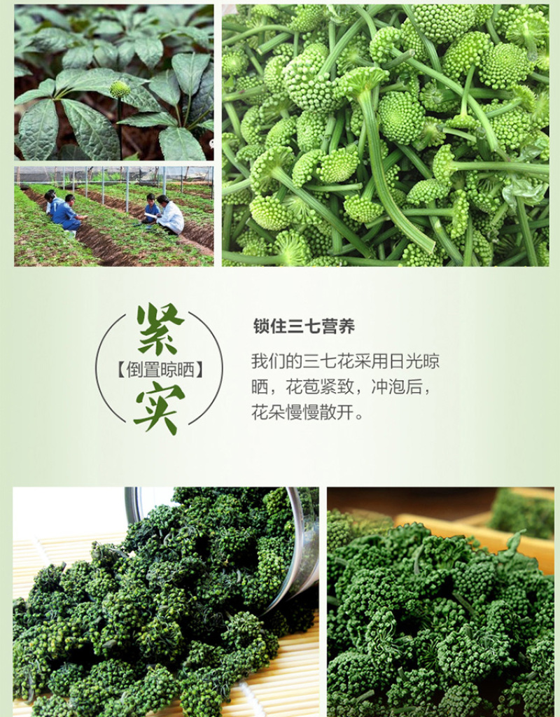 三七花500g专批发云南文山三七头田七三七粉云南文山