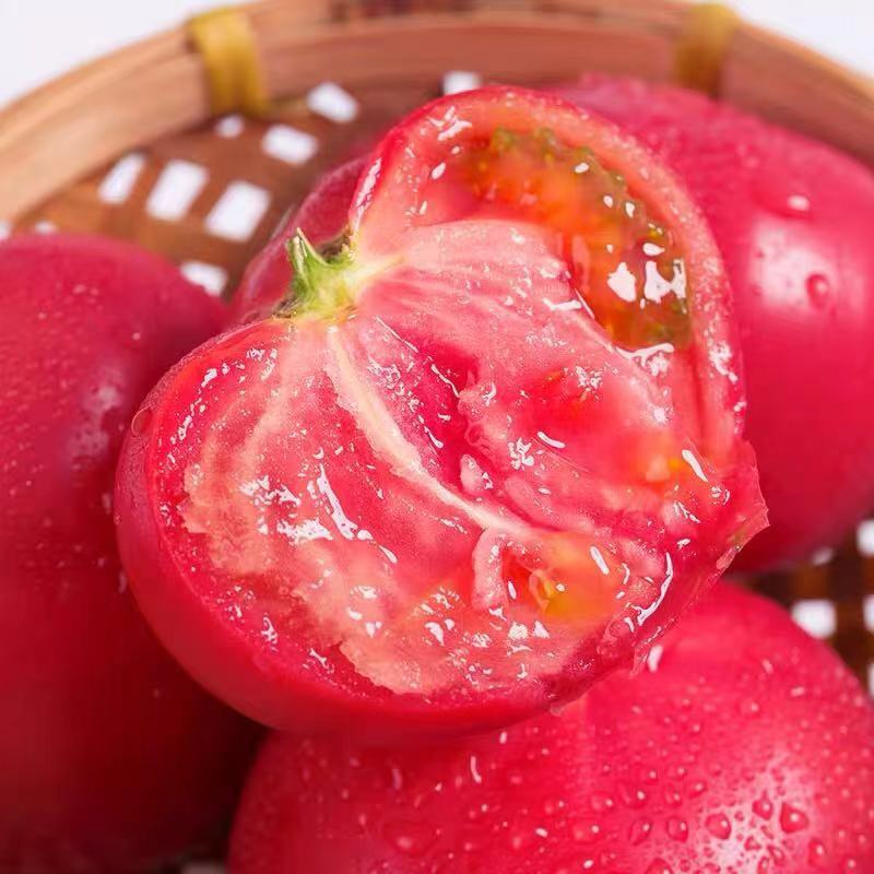 硬粉西红柿🍅精品优质番茄保证质量货源充足提供各种包