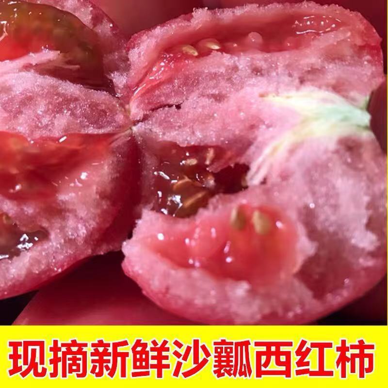 硬粉西红柿🍅精品优质番茄保证质量货源充足提供各种包