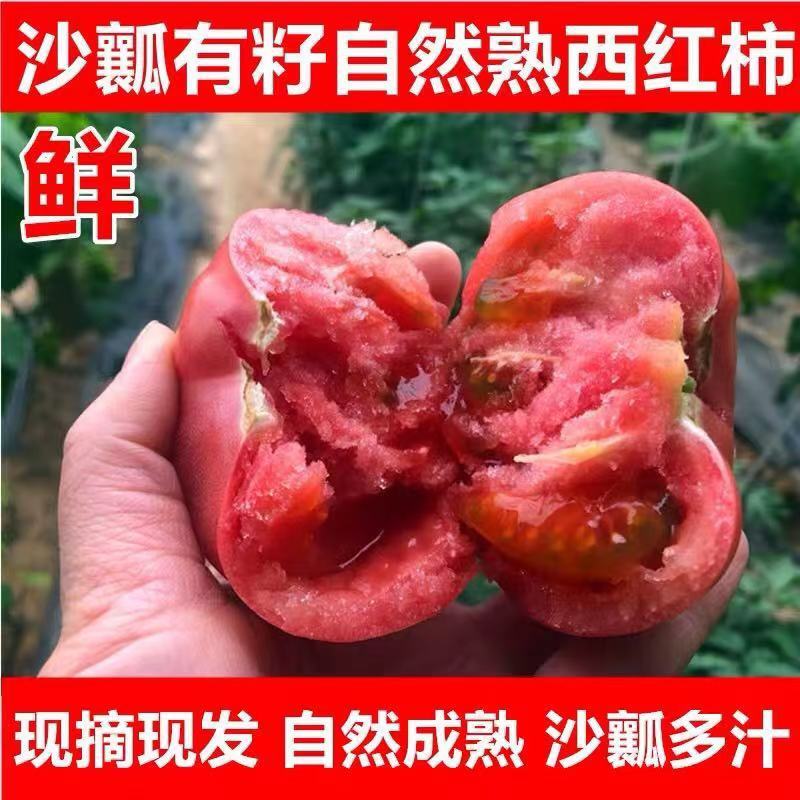 硬粉西红柿🍅精品优质番茄保证质量货源充足提供各种包