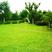 紫羊茅草种冷季型草坪种子庭院草坪道路护坡固堤保土量大优