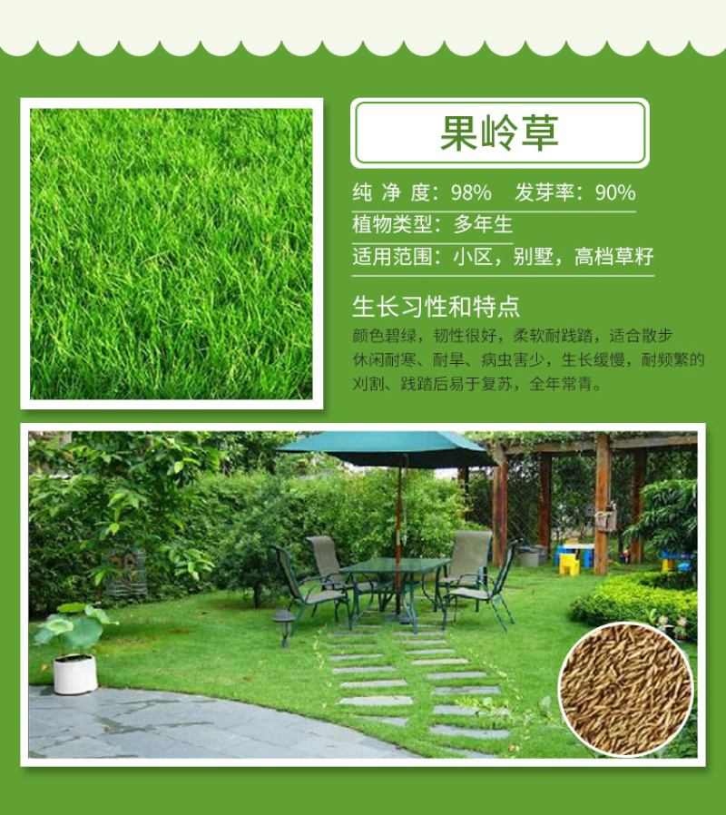 百慕大种子批发零售园林绿化护坡草坪固土固沙防塌量大优惠