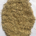 披碱草种子四季牧草耐寒耐旱耐碱草种抗风沙草种量大优惠
