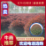 精品红叶石楠球，规格全，基地直供，标准化种植，保成活率