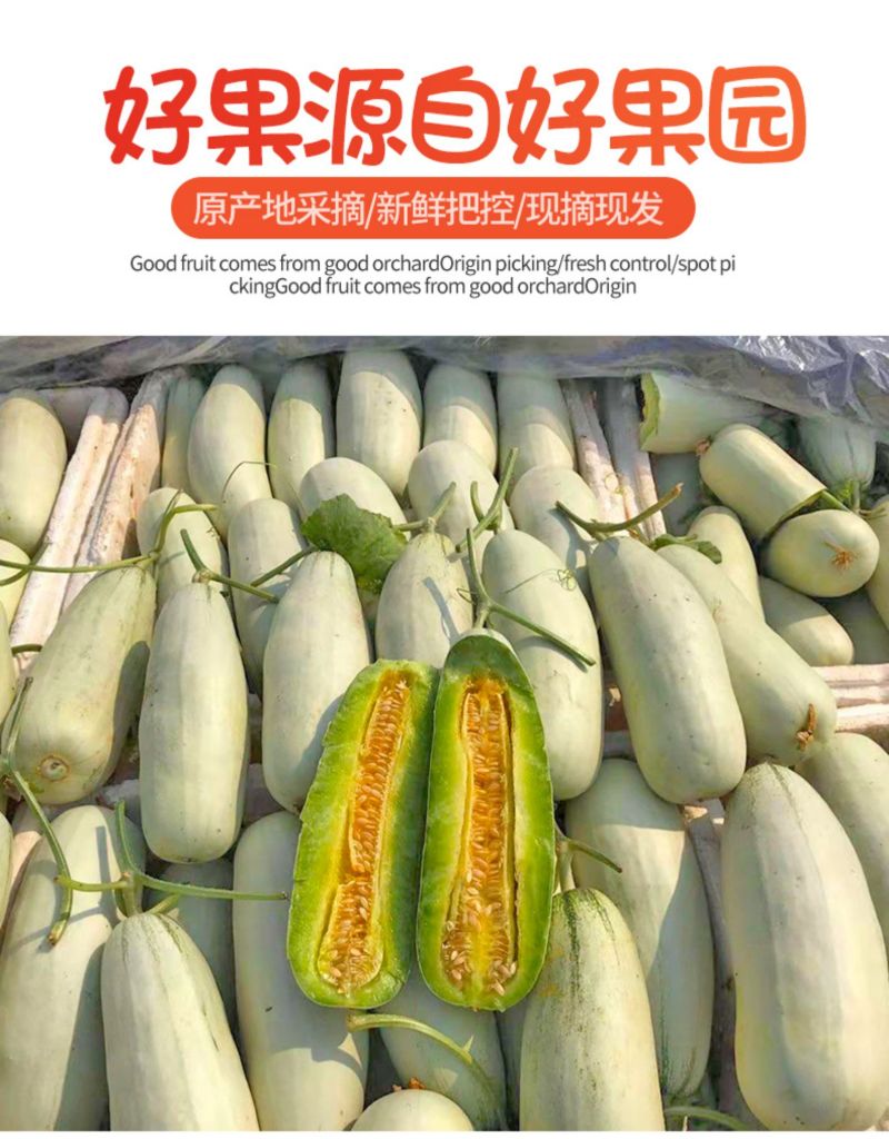 山东羊角蜜甜瓜5斤水果新鲜当季整箱包邮小密瓜香瓜蜜瓜羊角