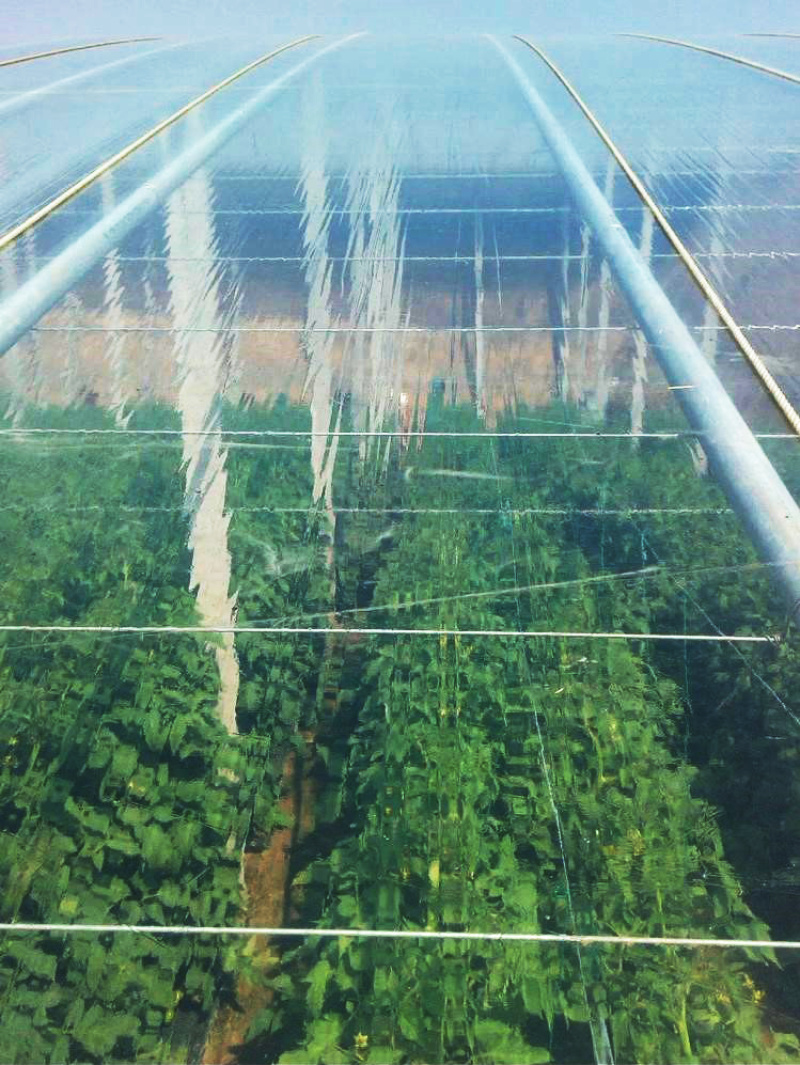 大棚膜精品水晶PO膜五层共挤生产厂家，高透光高保温耐老