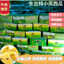 西瓜东台特小凤西瓜（农友小兰）大量上市价优质好欢迎采购