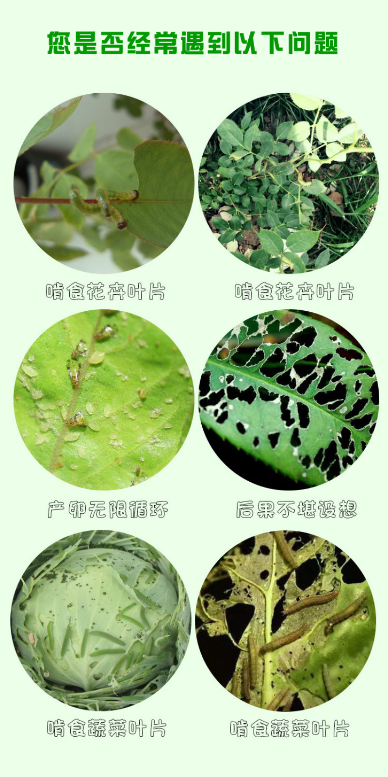 3.2%甲维盐氯氰菊酯果树柑橘蔬菜钻心虫卷叶蛾青虫杀