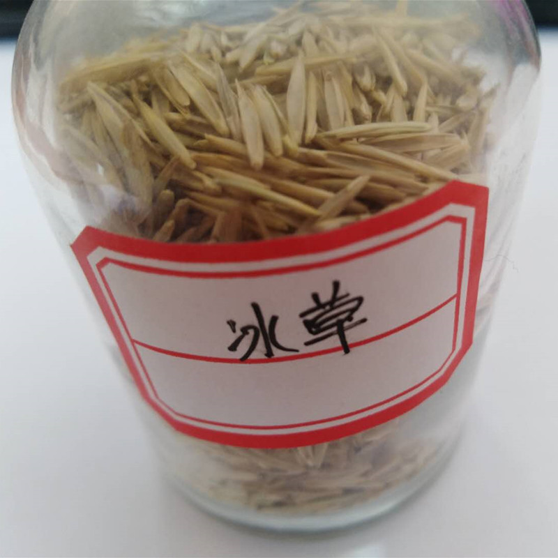 冰草种子牧草种子护坡草种耐旱抗寒种子高产种子量大优惠