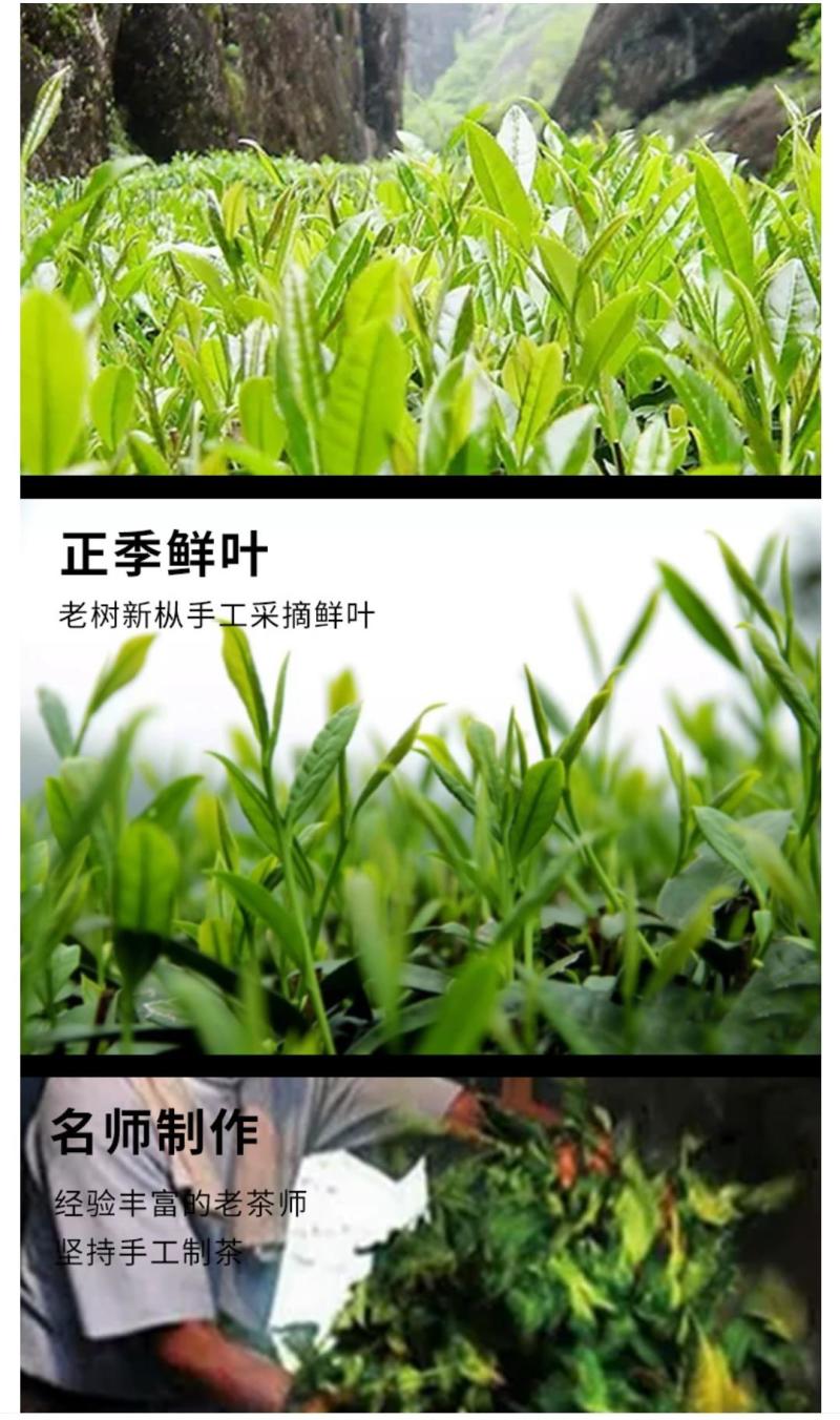 乌龙茶·大红袍