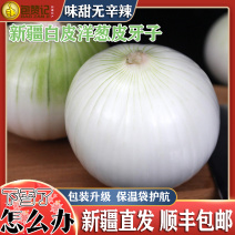 新疆皮牙子不辣白洋葱新鲜蔬菜生吃凉拌5斤航