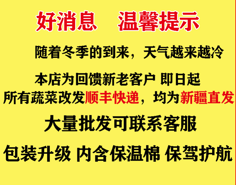 【产地直发】新疆皮牙子不辣白洋葱新鲜蔬菜生吃凉拌5斤航
