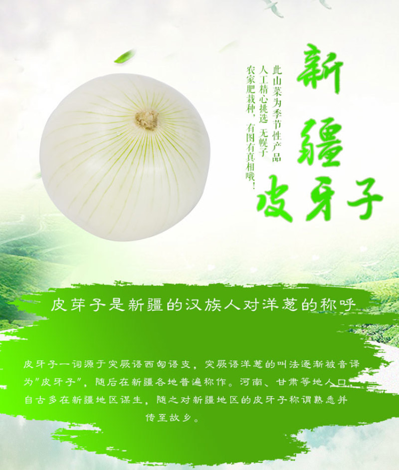 【产地直发】新疆皮牙子不辣白洋葱新鲜蔬菜生吃凉拌5斤航