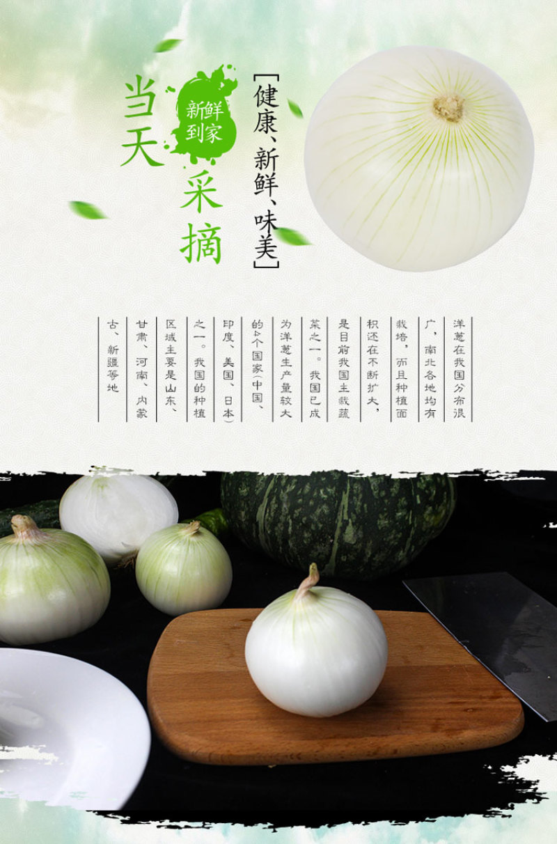 【产地直发】新疆皮牙子不辣白洋葱新鲜蔬菜生吃凉拌5斤航