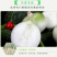 【产地直发】新疆皮牙子不辣白洋葱新鲜蔬菜生吃凉拌5斤航
