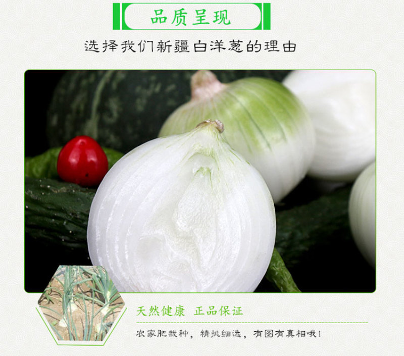【产地直发】新疆皮牙子不辣白洋葱新鲜蔬菜生吃凉拌5斤航
