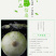 【产地直发】新疆皮牙子不辣白洋葱新鲜蔬菜生吃凉拌5斤航