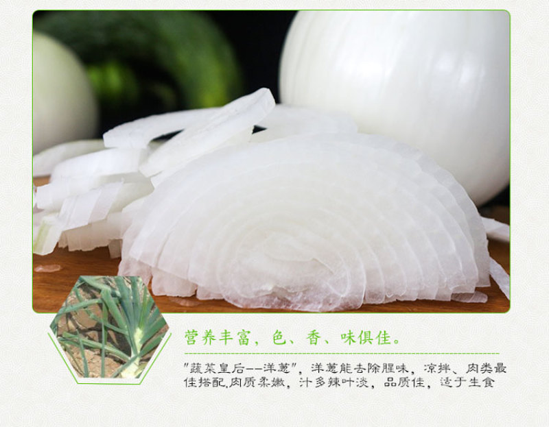 【产地直发】新疆皮牙子不辣白洋葱新鲜蔬菜生吃凉拌5斤航