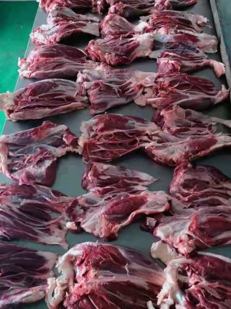 牦牛肉青海散养牦牛肉自家养殖包邮直发量大从优