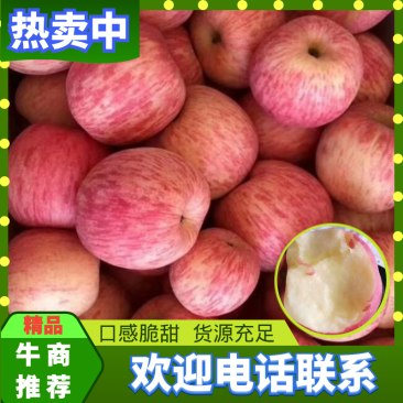 【红富士】条纹,片红苹果,质量好,颜色优,脆甜可口。