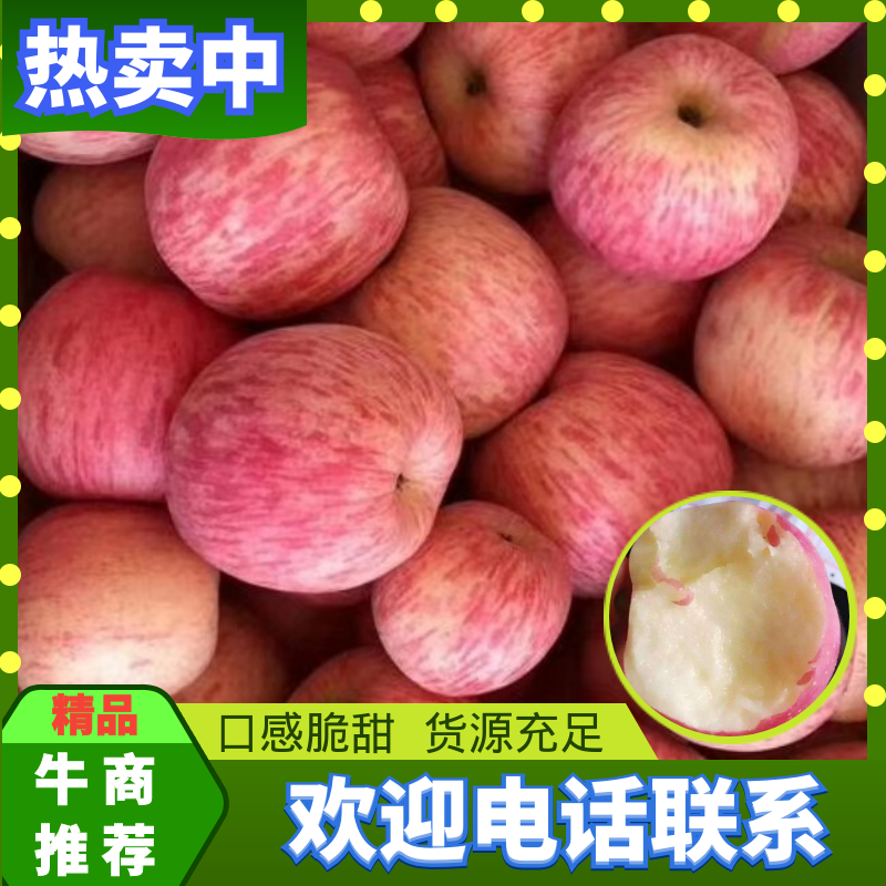 【红富士】条纹，片红苹果，质量好，颜色优，脆甜可口。